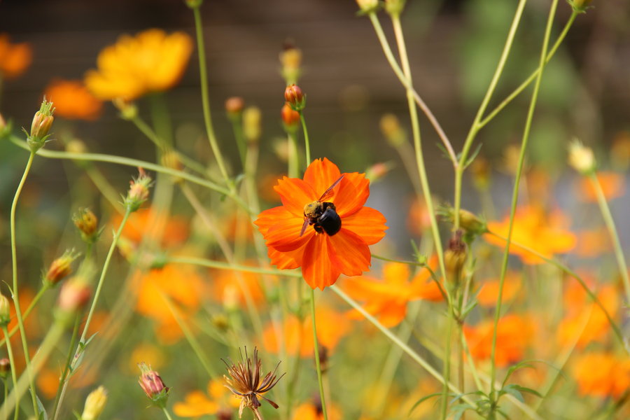 2019年立秋時間是什么時候？幾月幾日幾點幾分(圖文)