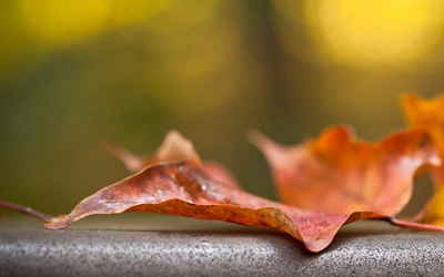 2019年農歷九月二十八日出行好不好?(圖文)