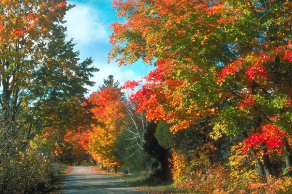 2019年農歷九月二十二日可不可以去祈福 今天祈福吉利嗎?(圖文)