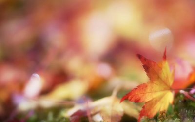 立秋和秋分有什么區(qū)別2019年七月初八立秋可不可以結(jié)婚？(圖文)