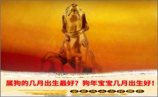 屬狗的幾月出生最好