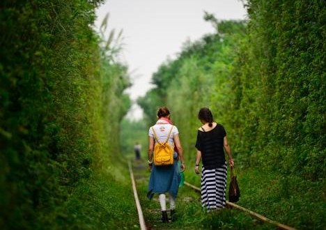 屬虎和屬鼠的婚姻會長久嗎 屬虎和屬鼠的婚姻會長久嗎