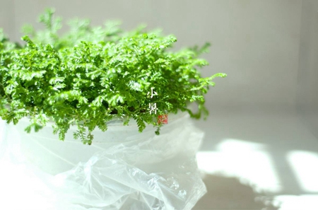 2019年7月7日小暑搬家入宅不吉利嗎，關于搬家講究禁忌全解析！(圖文)