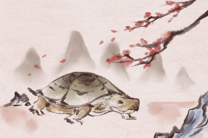 女人夢到大烏龜在水里預示什么意思(圖文)