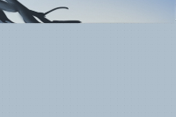 電子公司起什么名字好(圖文)