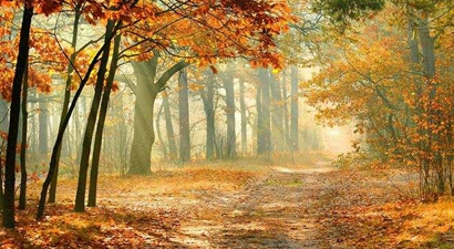 寶寶農(nóng)歷七月出生要在幾月懷孕 農(nóng)歷七月出生的人好嗎？(圖文)