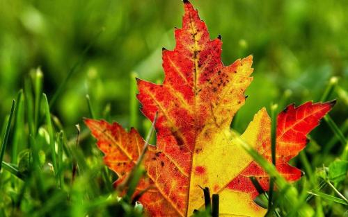 2019年立秋可以喬遷新家嗎?喬遷新居有什么風俗習慣(圖文)