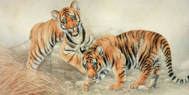 1986年屬虎的人2020年運(yùn)勢及運(yùn)程大全解析(圖文)