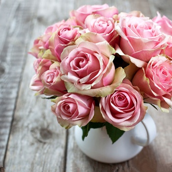 獅子座如何面對自己的夢想(圖文)