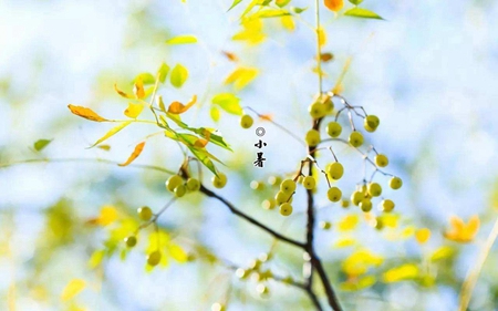 2019年六月初五小暑搬家吉利嗎,2019年小暑前后搬家吉日推薦!(圖文)