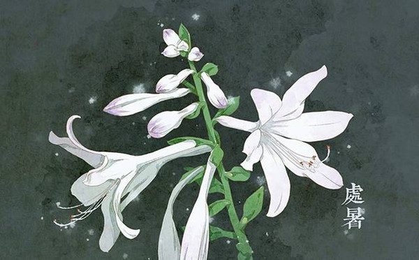 2019處暑具體時辰是多少 處暑時辰吉兇分析!(圖文)