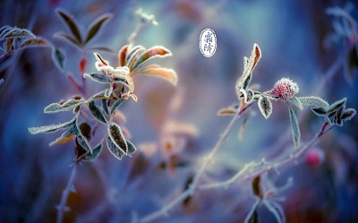 2019年農歷九月二十六霜降節氣出生的男孩命運好嗎?(圖文)