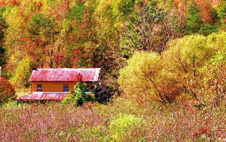 2019年8月8日立秋時辰吉兇查詢，立秋過后就屬于秋天了嗎？(圖文)