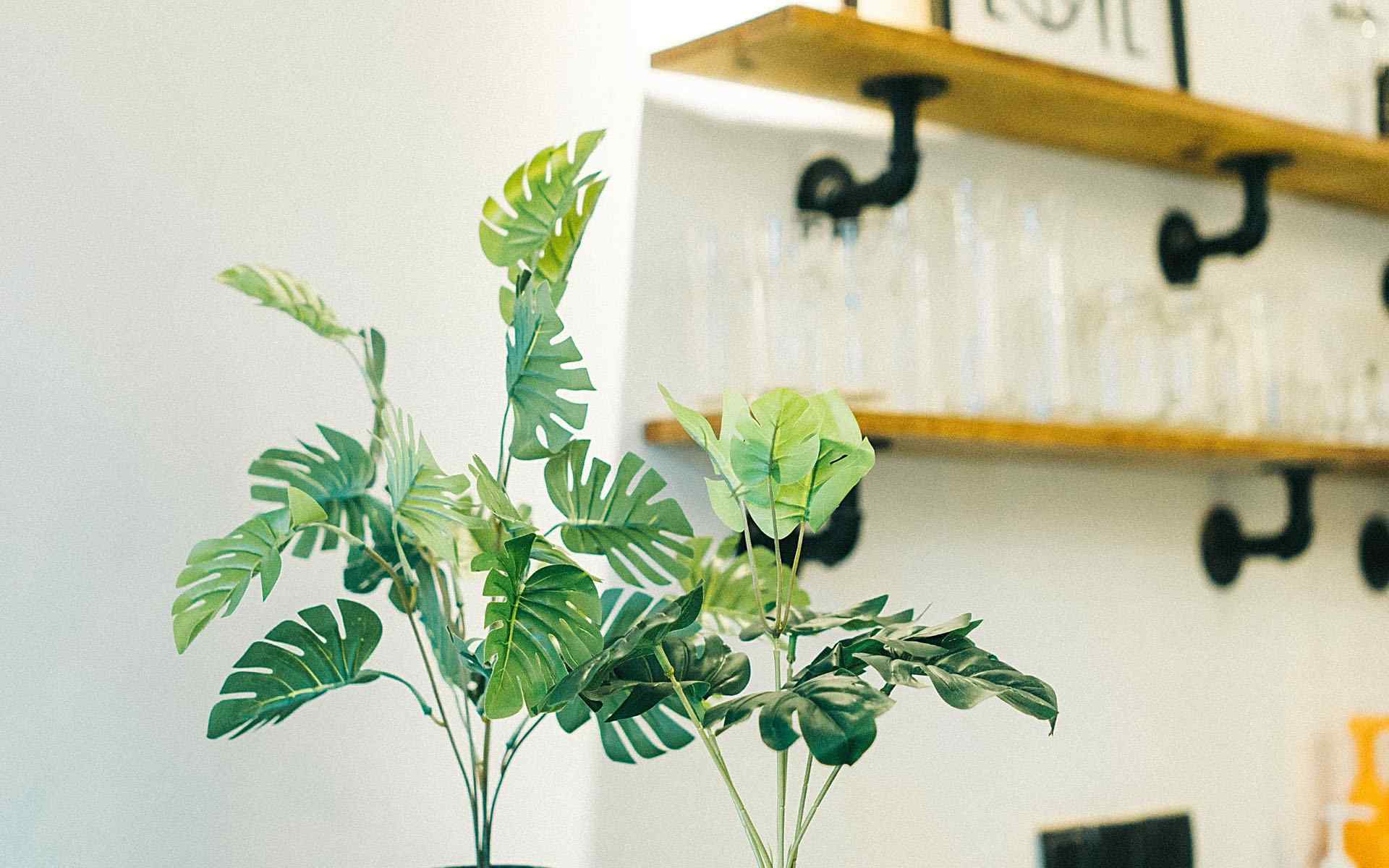 十二星座之獅子座2019開年事業運勢分析(圖文)