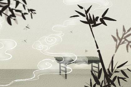 家里養(yǎng)什么植物既招財(cái)又旺宅(圖文)