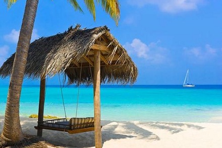 紫微斗數四化飛星免費排盤在線(圖文)