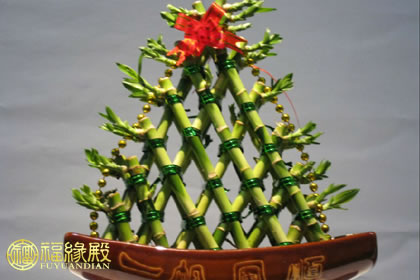 開運竹擺放風水有何講究？(圖文)