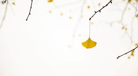 2019年立秋出生豬寶寶是八字喜火命理嗎,八字喜火有何特點?(圖文)