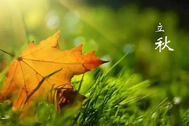 2019年立秋時間是什么時候？幾月幾日幾點幾分(圖文)