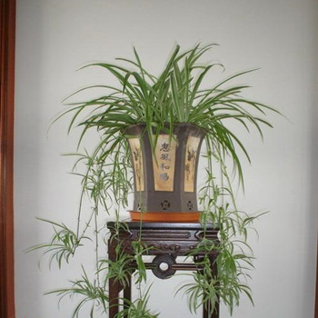 處女座和閨蜜說起男友缺點的時候的樣子(圖文)