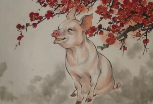 屬豬2020年運勢及運程