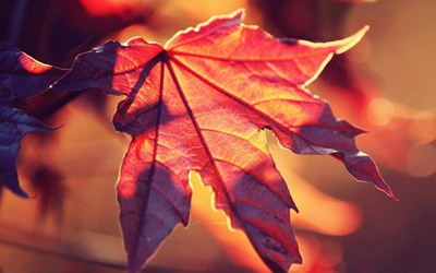 2019年農歷九月二十八日出行好不好?(圖文)