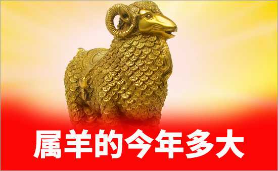 屬羊的今年多大