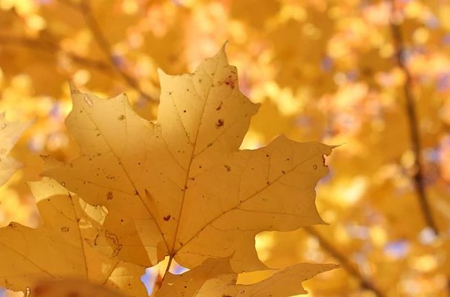 2019年立秋后天氣變涼快了嗎,立秋啃秋的由來是什么?(圖文)