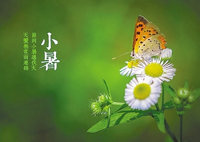 小暑和暑伏是一回事嗎 小暑是暑伏的首座天嗎？(圖文)