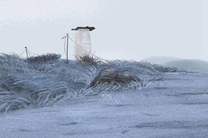 夢見去海邊什么意思 預示什么(圖文)