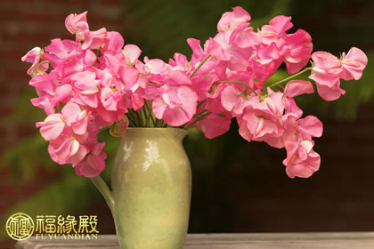 不可不知的花瓶擺放風水禁忌！(圖文)