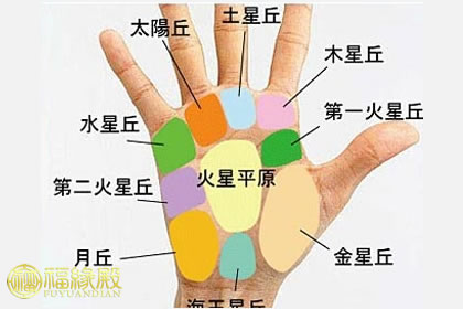 手相九大掌丘的秘密,它們代表什么?(圖文)