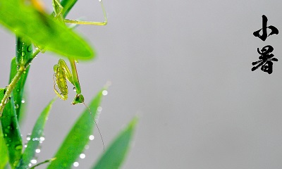 2019年小暑日子好不好？小暑是幾月幾日星期幾？(圖文)