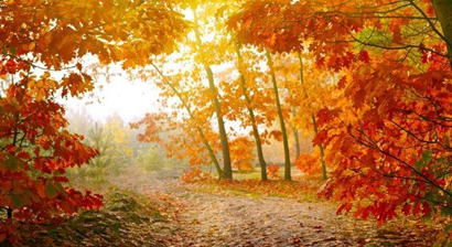 寶寶農(nóng)歷七月出生要在幾月懷孕 農(nóng)歷七月出生的人好嗎？(圖文)