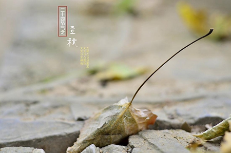 2019年立秋時(shí)間幾點(diǎn)時(shí)刻 2019年立秋是不是黃道吉日?(圖文)