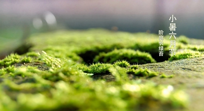 小暑前面是什么節氣2019年小暑是哪一天?(圖文)