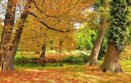 2019年8月8日立秋時辰吉兇查詢，立秋過后就屬于秋天了嗎？(圖文)