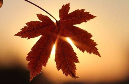 立秋是什么日子2019年立秋還有多少天?(圖文)