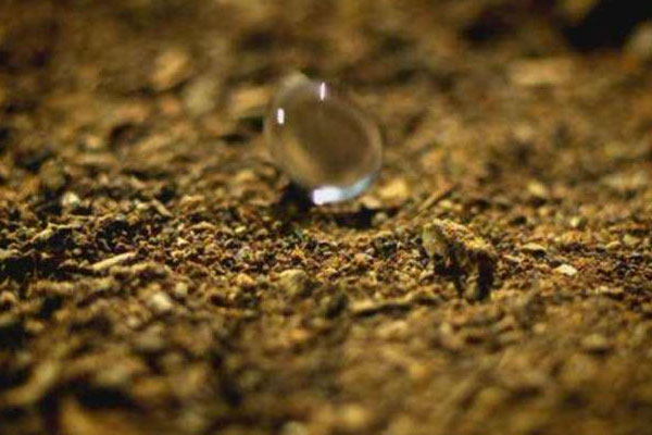 女人情路坎坷面相有何特點(圖文)