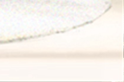 客廳植物風水擺放小技巧(圖文)