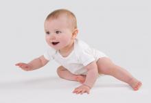 狗年農歷十月出生的狗寶寶取名