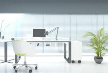 辦公室風(fēng)水植物有哪些 辦公室風(fēng)水植物的擺放