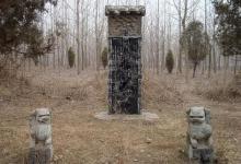 墓地上有螞蟻好不好