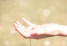 屬牛佩戴什么吉祥物好