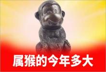 2019年屬猴的今年多大