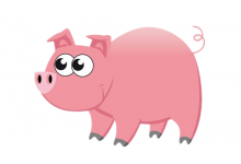 2019年屬豬幾月出生是金豬