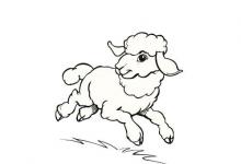 79年出生屬羊人命中貴人是誰