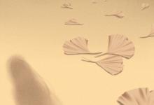 出生運(yùn)勢(shì)分析-馬年寶寶幾時(shí)出生優(yōu)秀