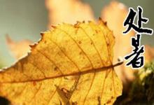 2019年處暑節氣財神吉位在哪個方位?處暑時辰吉神兇煞