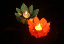 2019年七月十五中元節(jié)出生的屬豬人命運(yùn)好不好?